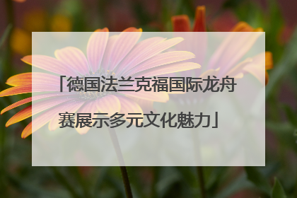 德国法兰克福国际龙舟赛展示多元文化魅力