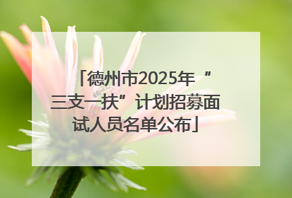 德州市2025年“三支一扶”计划招募面试人员名单公布