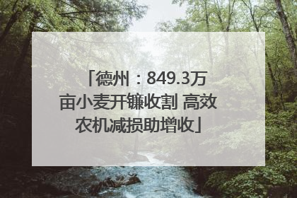 德州：849.3万亩小麦开镰收割 高效农机减损助增收