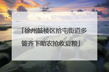 徐州鼓楼区拾屯街道多管齐下助农抢收夏粮