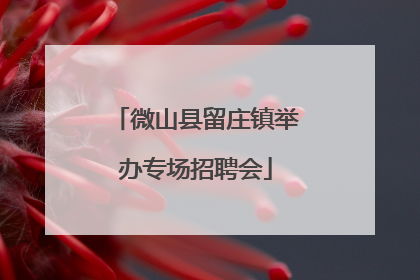 微山县留庄镇举办专场招聘会
