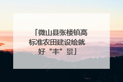 微山县张楼镇高标准农田建设绘就好“丰”景