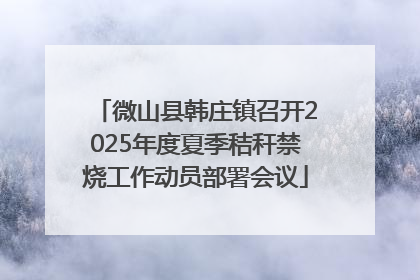 微山县韩庄镇召开2025年度夏季秸秆禁烧工作动员部署会议