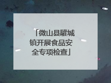 微山县驩城镇开展食品安全专项检查