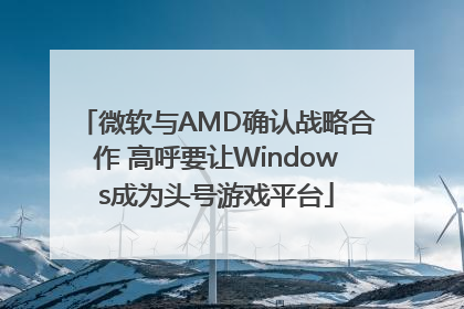 微软与AMD确认战略合作 高呼要让Windows成为头号游戏平台