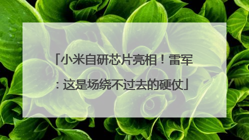 小米自研芯片亮相！雷军：这是场绕不过去的硬仗