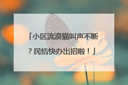 小区流浪猫叫声不断？民情快办出招啦！