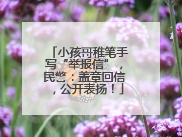 小孩哥稚笔手写“举报信”，民警：盖章回信，公开表扬！