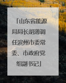 山东省能源局局长胡薄调任滨州市委常委、市政府党组副书记