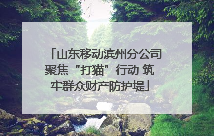 山东移动滨州分公司聚焦“打猫”行动 筑牢群众财产防护堤