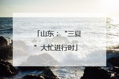 山东：“三夏”大忙进行时