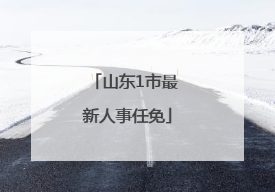 山东1市最新人事任免