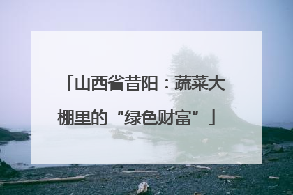 山西省昔阳：蔬菜大棚里的“绿色财富”
