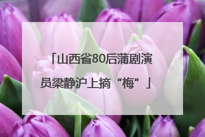 山西省80后蒲剧演员梁静沪上摘“梅”
