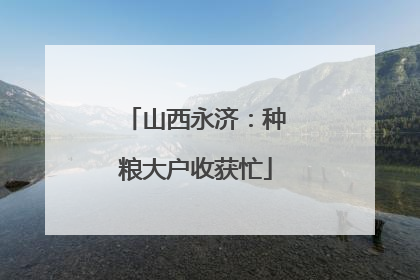 山西永济：种粮大户收获忙