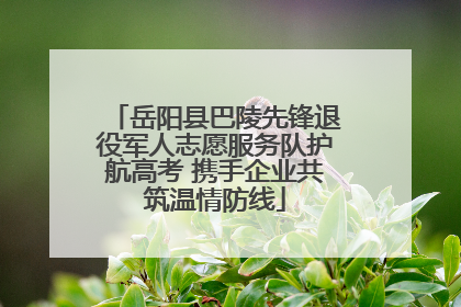 岳阳县巴陵先锋退役军人志愿服务队护航高考 携手企业共筑温情防线