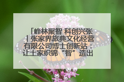 峰林聚智 科创兴张丨张家界旅典文化经营有限公司博士创新站：让土家织锦“智”造出非遗新传奇