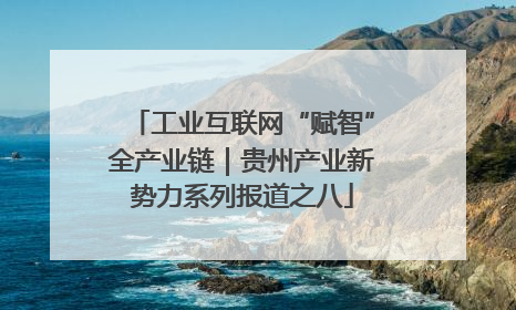 工业互联网“赋智”全产业链｜贵州产业新势力系列报道之八