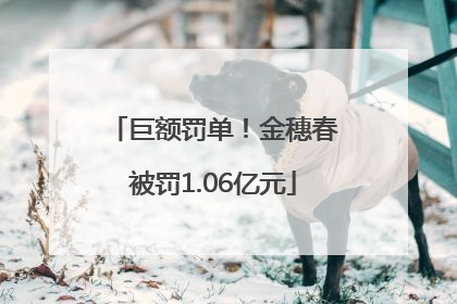 巨额罚单！金穗春被罚1.06亿元