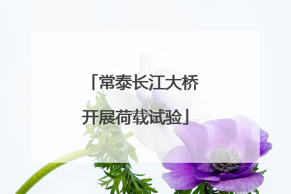 常泰长江大桥开展荷载试验