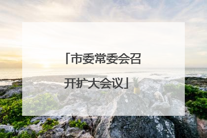 市委常委会召开扩大会议