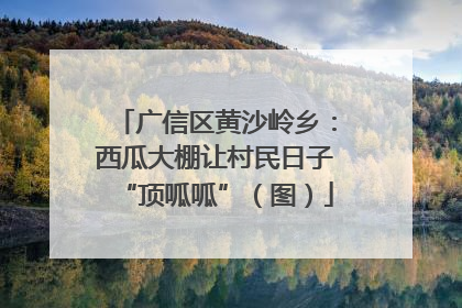 广信区黄沙岭乡：西瓜大棚让村民日子“顶呱呱”（图）