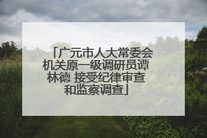 广元市人大常委会机关原一级调研员谭林德 接受纪律审查和监察调查