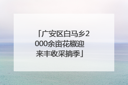 广安区白马乡2000余亩花椒迎来丰收采摘季