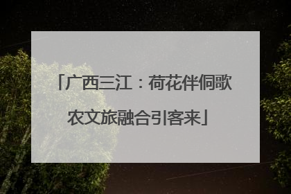 广西三江：荷花伴侗歌 农文旅融合引客来