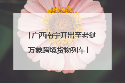 广西南宁开出至老挝万象跨境货物列车