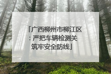 广西柳州市柳江区：严把车辆检测关 筑牢安全防线