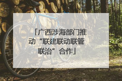 广西涉海部门推动“联建联动联管联治”合作