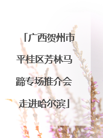 广西贺州市平桂区芳林马蹄专场推介会走进哈尔滨