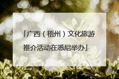 广西（梧州）文化旅游推介活动在悉尼举办