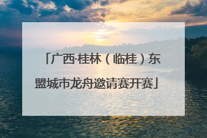 广西·桂林（临桂）东盟城市龙舟邀请赛开赛