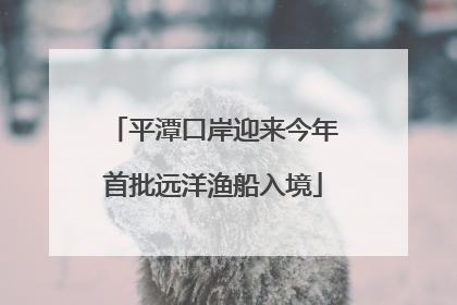 平潭口岸迎来今年首批远洋渔船入境