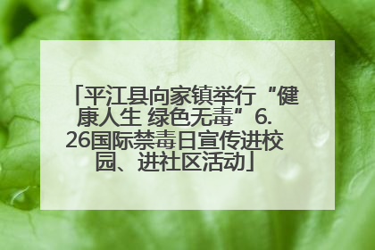 平江县向家镇举行“健康人生 绿色无毒”6.26国际禁毒日宣传进校园、进社区活动