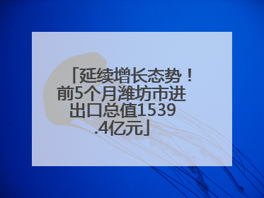 延续增长态势！前5个月潍坊市进出口总值1539.4亿元