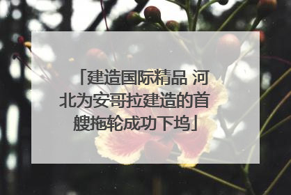 建造国际精品 河北为安哥拉建造的首艘拖轮成功下坞