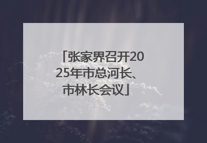 张家界召开2025年市总河长、市林长会议