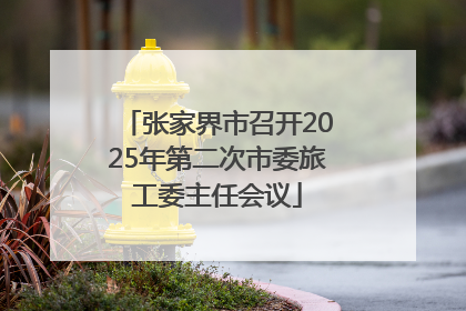 张家界市召开2025年第二次市委旅工委主任会议