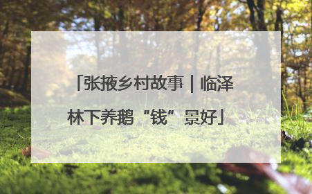 张掖乡村故事｜临泽林下养鹅“钱”景好
