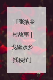 张掖乡村故事｜戈壁水乡插秧忙