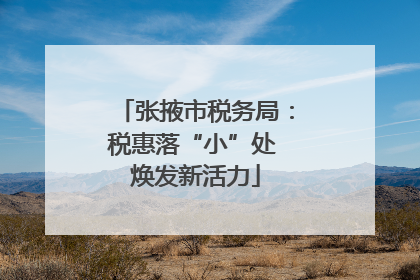 张掖市税务局：税惠落“小”处 焕发新活力