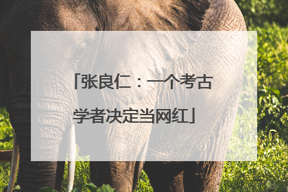 张良仁：一个考古学者决定当网红