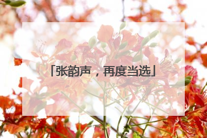 张韵声，再度当选