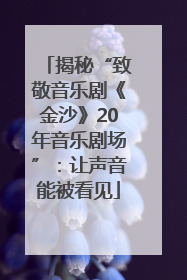 揭秘“致敬音乐剧《金沙》20年音乐剧场”：让声音能被看见