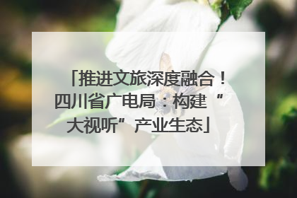 推进文旅深度融合！四川省广电局：构建“大视听”产业生态