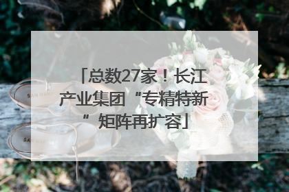 总数27家！长江产业集团“专精特新”矩阵再扩容