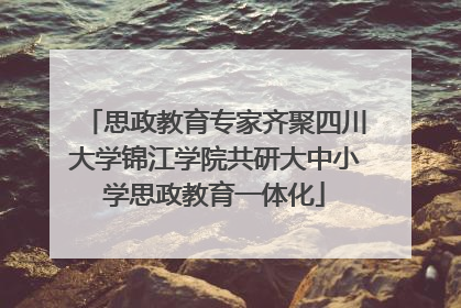 思政教育专家齐聚四川大学锦江学院共研大中小学思政教育一体化